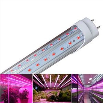 IP65 Led rast svetlo T8 trubice